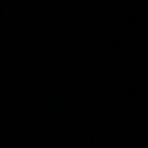 Meet your Posher, Melisha